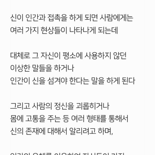피드 이미지