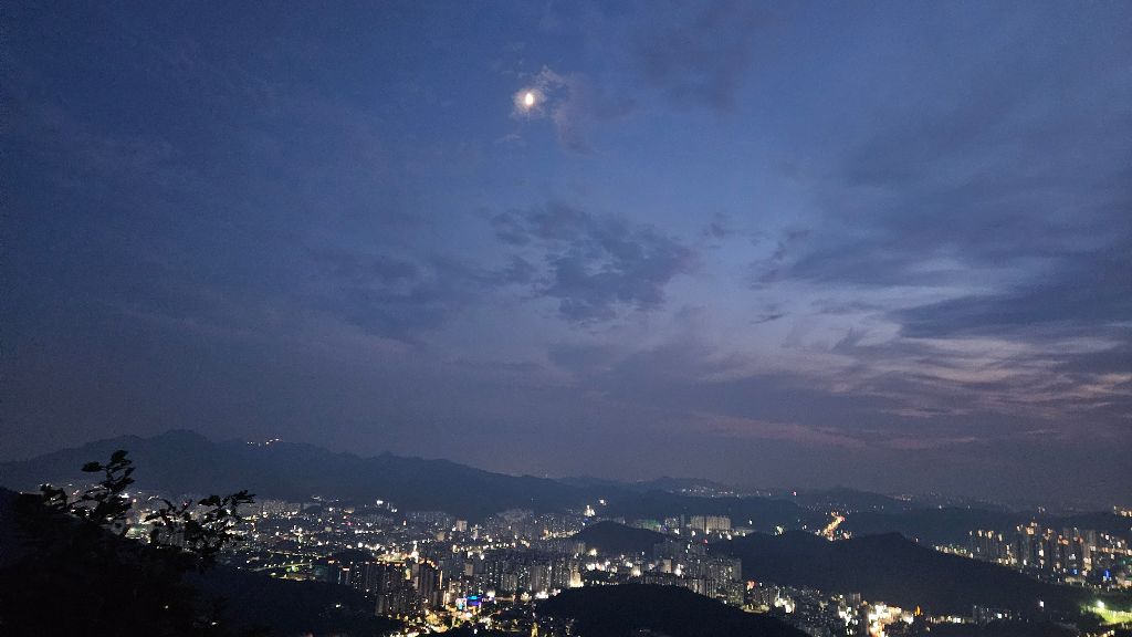 피드 이미지