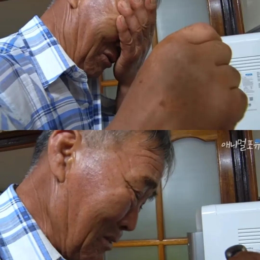 피드 이미지