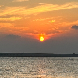 공지사항에 업로드 된 이미지