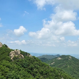 피드에 업로드 된 이미지