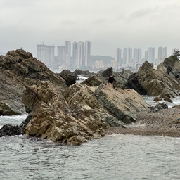 피드에 업로드 된 이미지