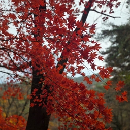 피드에 업로드 된 이미지