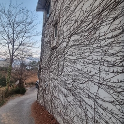 피드에 업로드 된 이미지