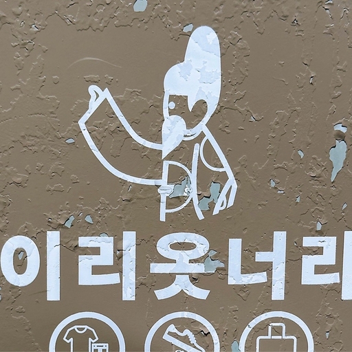 피드 이미지