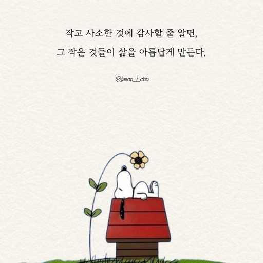 피드 이미지