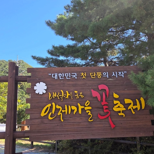 피드 이미지