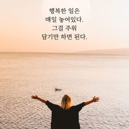 피드에 업로드 된 이미지