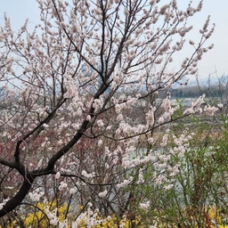 피드에 업로드 된 이미지