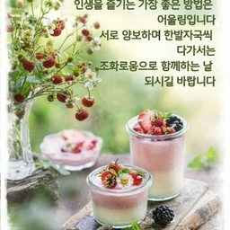 피드에 업로드 된 이미지