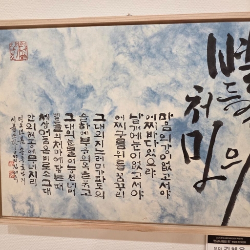 피드 이미지