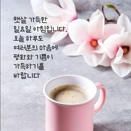 피드에 업로드 된 이미지
