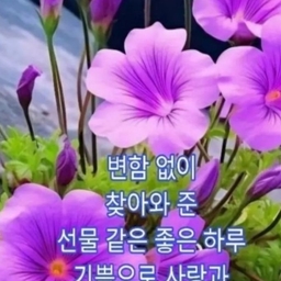 피드에 업로드 된 이미지