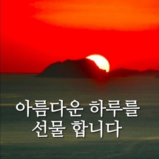 피드 이미지