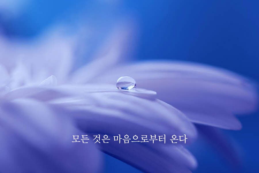 피드에 업로드 된 이미지