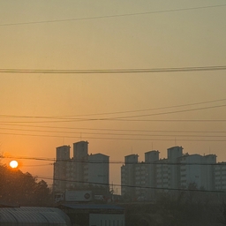 피드에 업로드 된 이미지