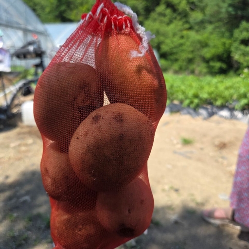 피드 이미지