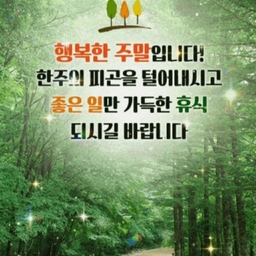 피드에 업로드 된 이미지