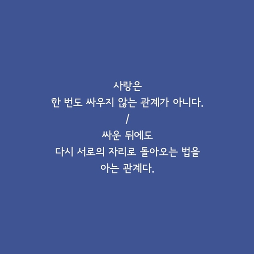 피드 이미지