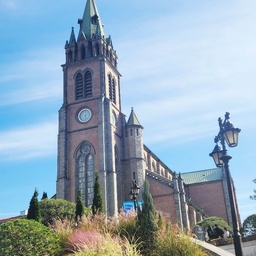 피드에 업로드 된 이미지