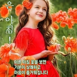 피드에 업로드 된 이미지