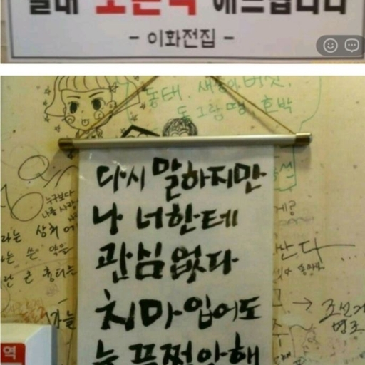 피드 이미지