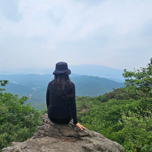 피드 이미지