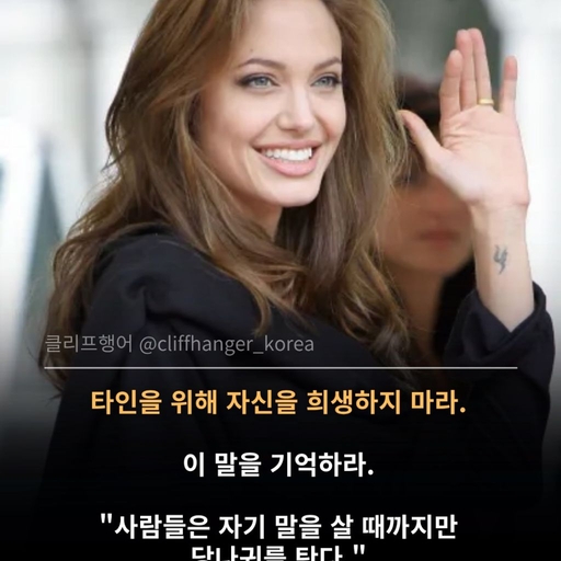 피드 이미지