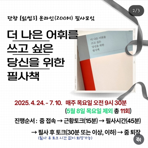 피드 이미지