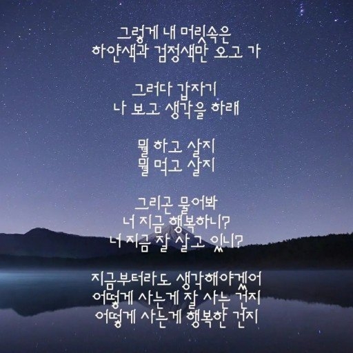 피드 이미지