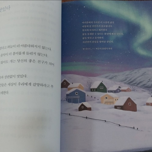 피드 이미지