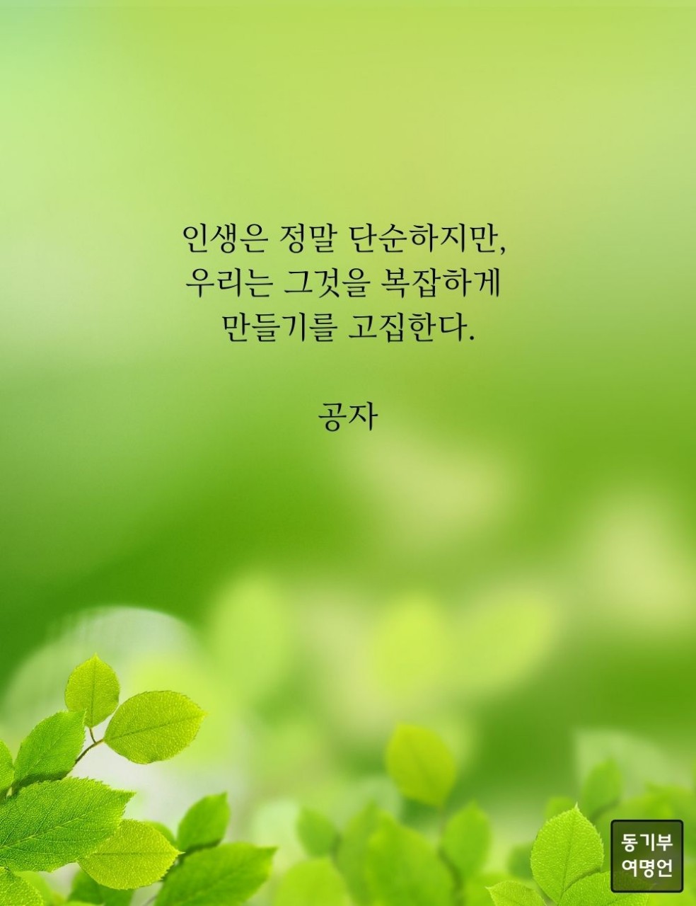 피드에 업로드 된 이미지