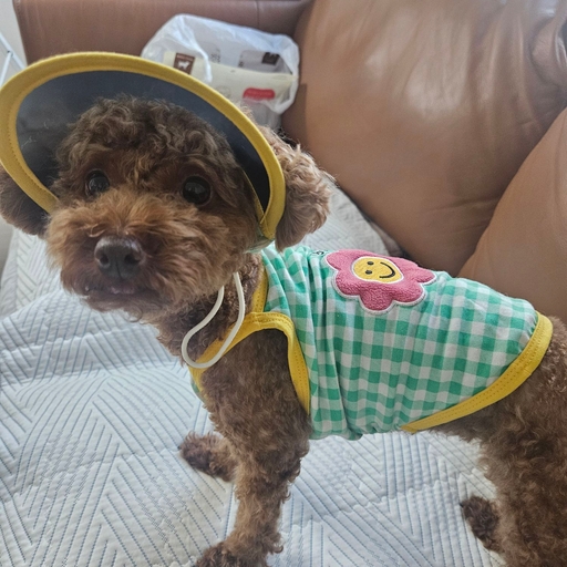 모임 대표 이미지