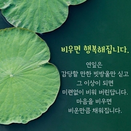 피드에 업로드 된 이미지