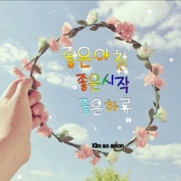 피드에 업로드 된 이미지
