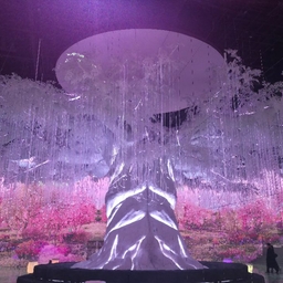 피드에 업로드 된 이미지