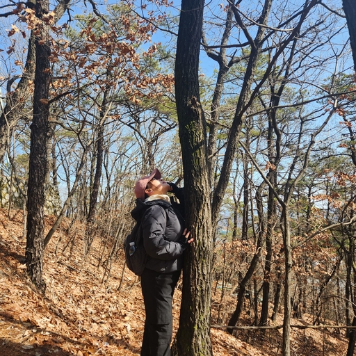 피드 이미지
