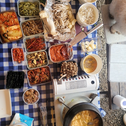 피드 이미지