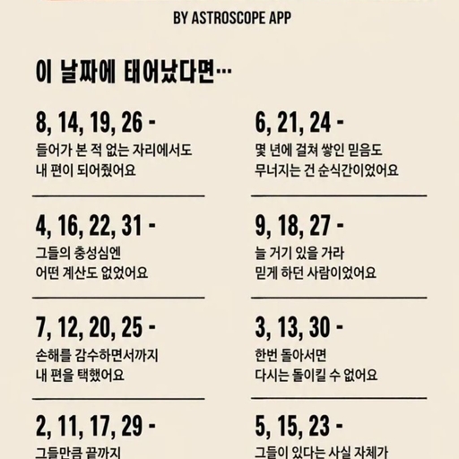 피드 이미지