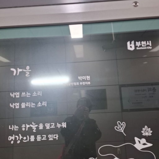 피드 이미지