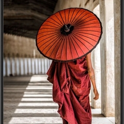 피드에 업로드 된 이미지