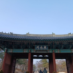 피드에 업로드 된 이미지