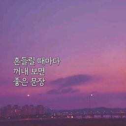 피드에 업로드 된 이미지