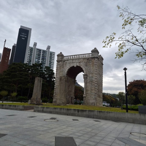 피드 이미지