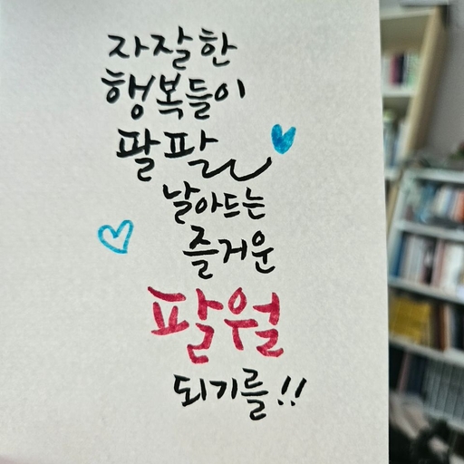 피드 이미지