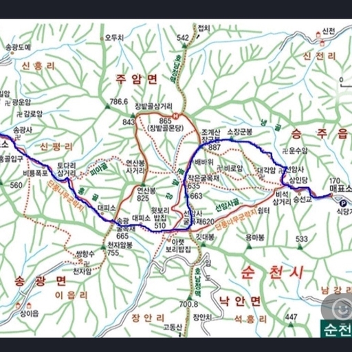 피드 이미지