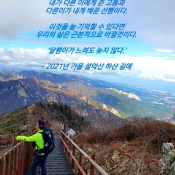 피드에 업로드 된 이미지