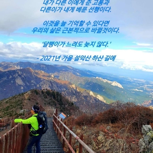 피드 이미지
