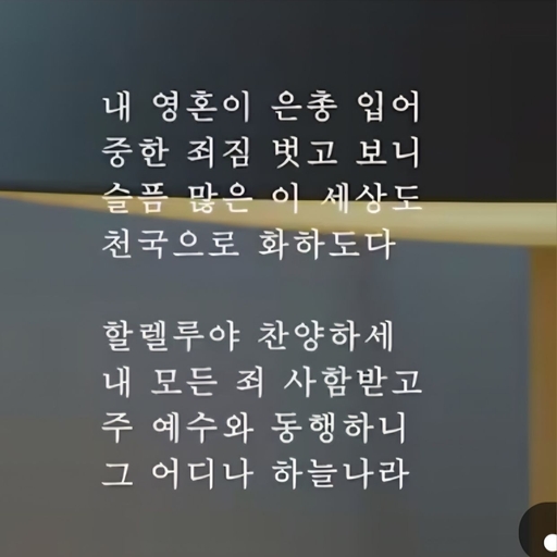 피드 이미지