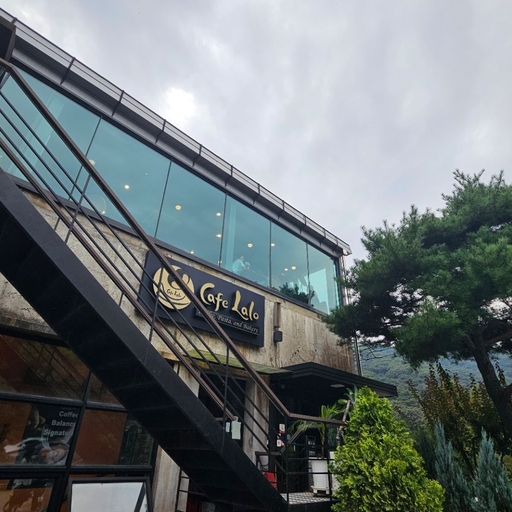 피드 이미지